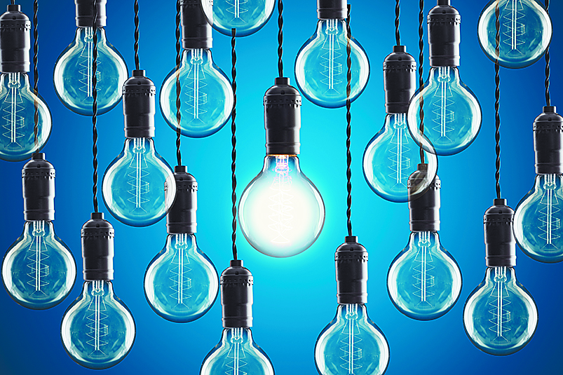 Falla eléctrica colapsa sistema de transparencia