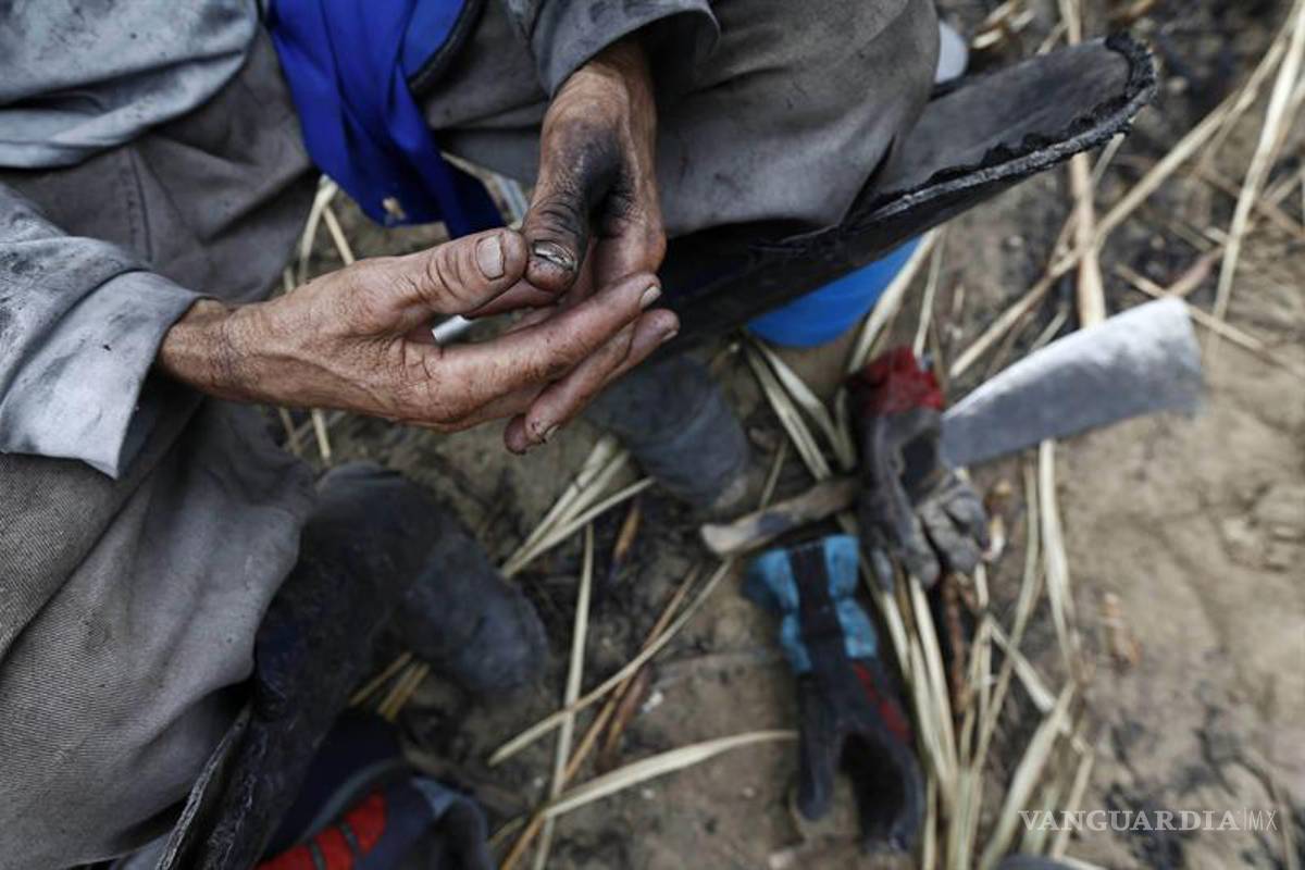 Obispos repudian norma "inhumana" que dificulta lucha a esclavitud en Brasil