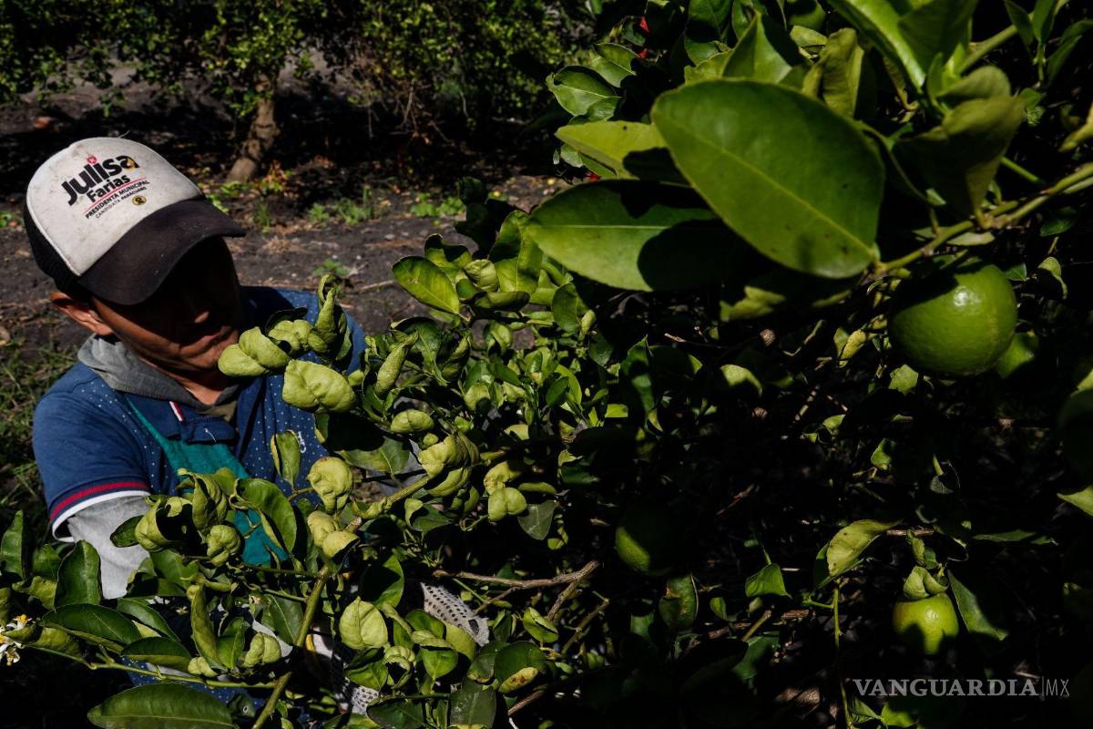 Desempleo entre los hispanos de Estados Unidos sube hasta 5.3 %; despiden a más de 16 mil personas