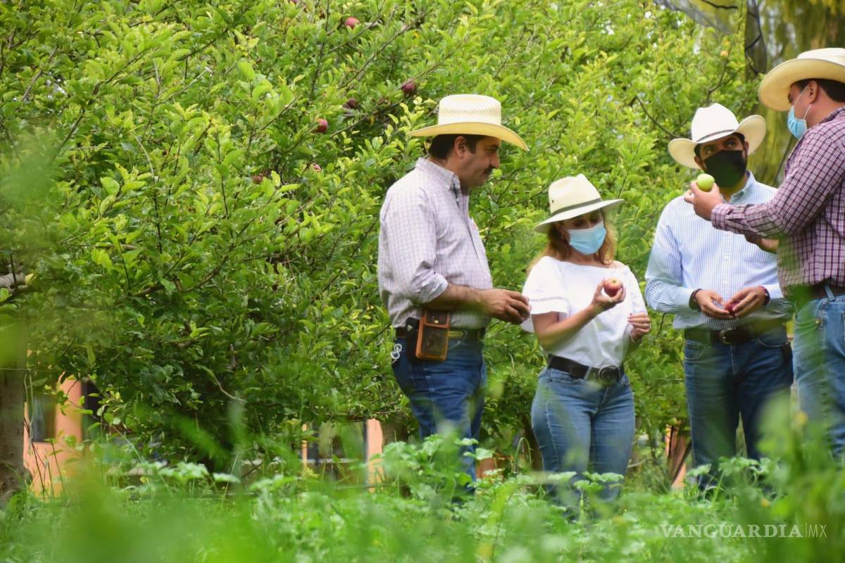 Impulsarán turismo conla Ruta de la Manzana