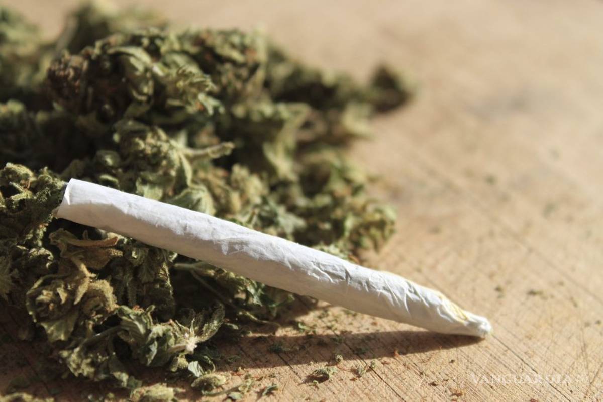 &quot;Antes de legalizar mariguana debe haber un debate responsable&quot;: Miguel Mancera