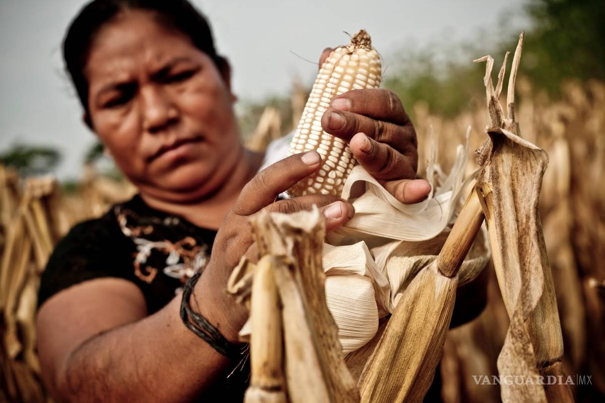 Entregó Sagarpa apoyos a mujeres del campo en Coahuila