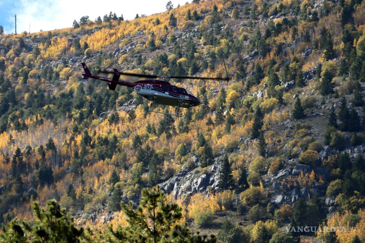 $!Personal de la Secretaría de la Defensa Nacional (Sedena) buscó en las zonas cercanas a cabañas.