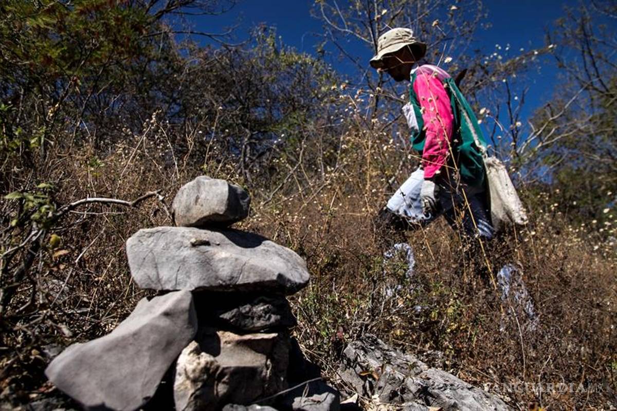 Falta de datos y coordinación hacen ineficaz registro desaparecidos en México