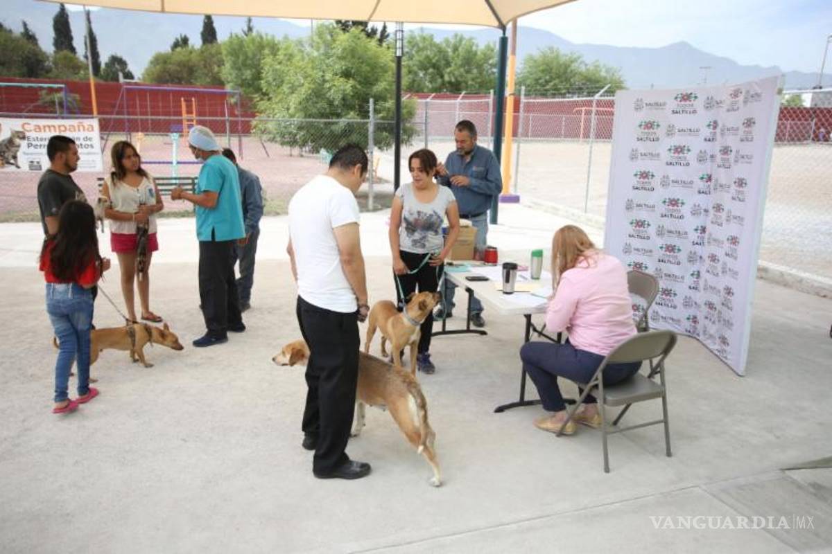 Municipio realiza jornada de esterilización de mascotas en colonias de Saltillo