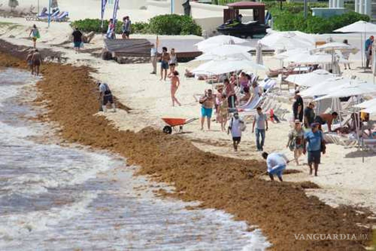 Toneladas de sargazo invaden costas mexicanas