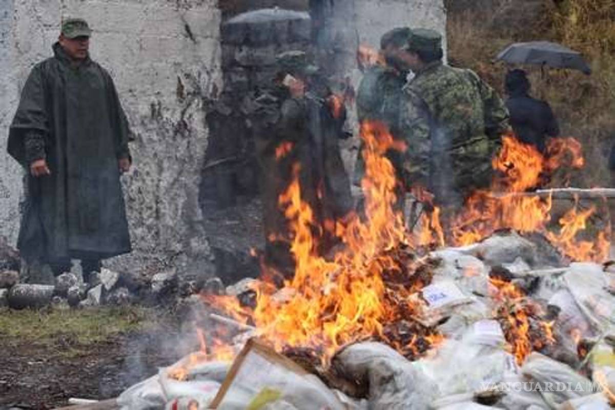 Sedena decomisó 145 mil kg de mariguana en el primer año de AMLO