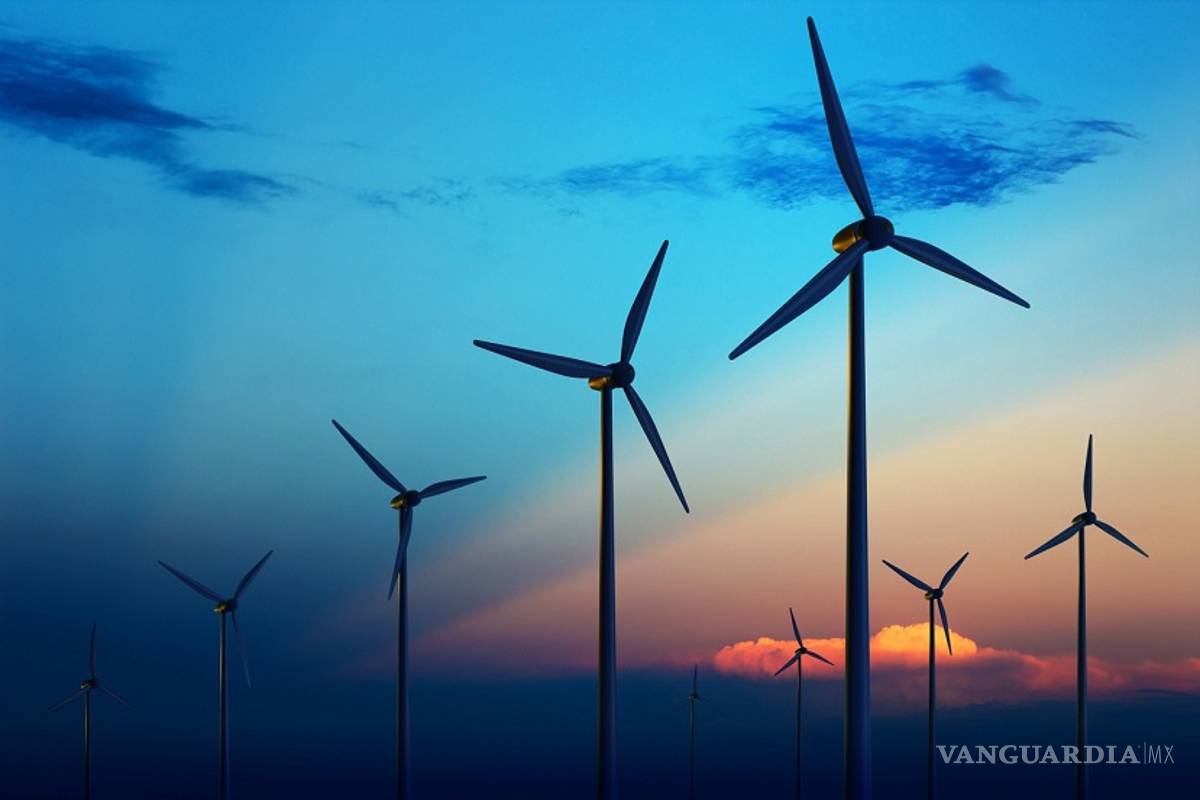 Coahuila con tres proyectos para generar energía Eólica; dos están avanzados