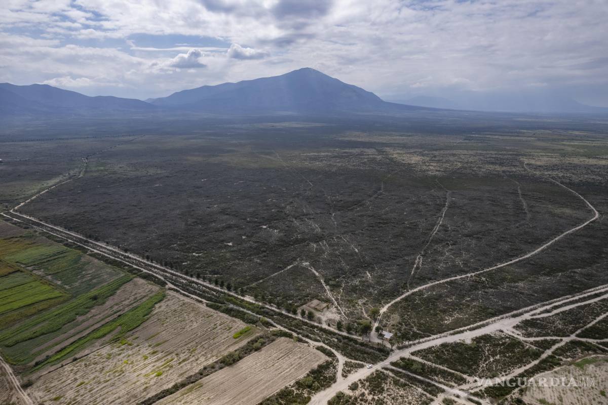Saltillo: ejidatarios ven positivo proyecto fotovoltaico de Iberdrola; rentará terreno de acceso