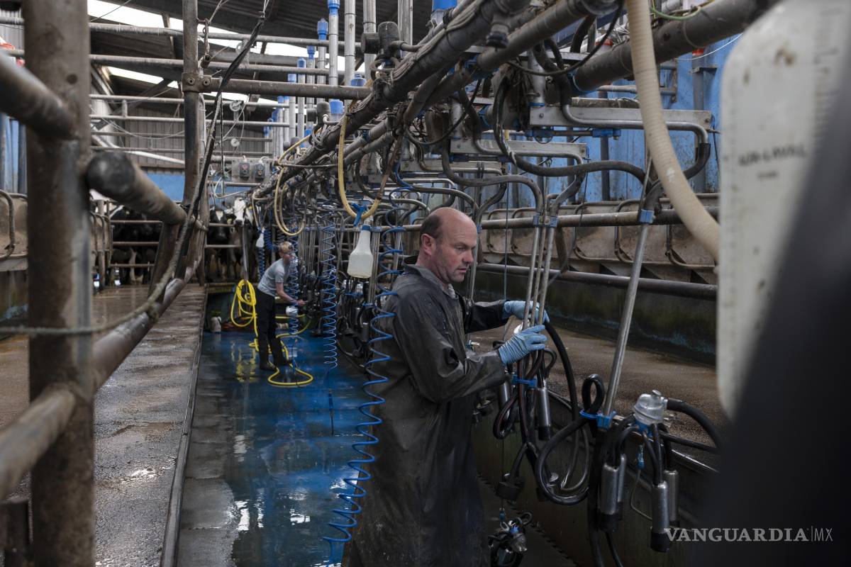 Una fábrica irlandesa prosperó con los bebés chinos. Entonces Nestlé la cerró