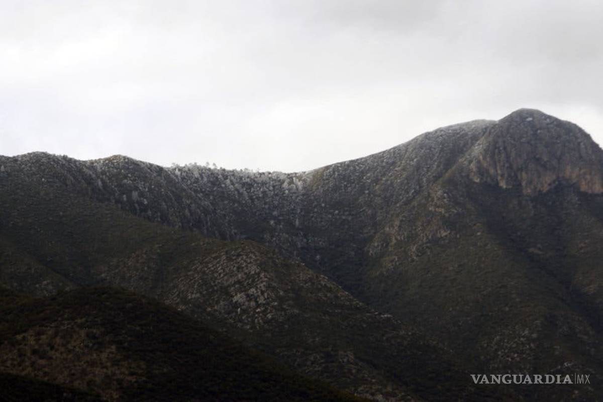 Gerardo Garza: Caminar Zapalinamé por 8 horas