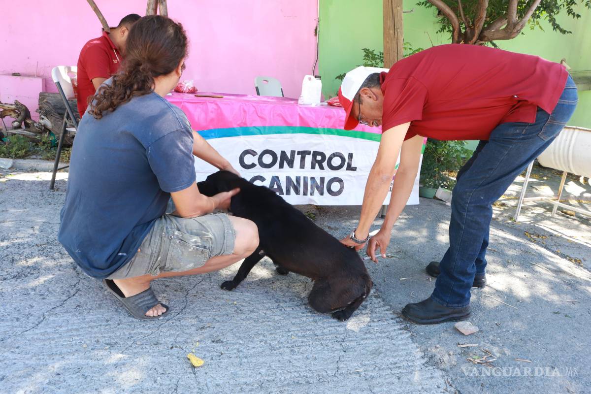 $!Personal de Salud Pública instaló módulos en El Tanquecito para aplicar vacunas antirrábicas y baños garrapaticidas gratuitos.