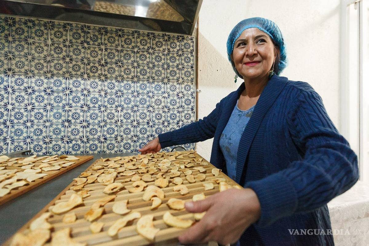 ProEmpleo cumple 19 años capacitando