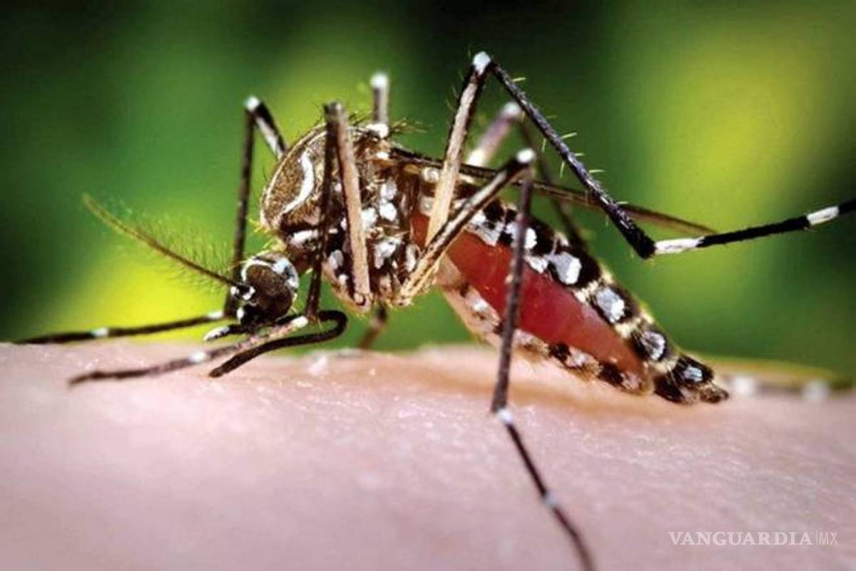 Obama urge al Congreso de EU a aprobar fondos para el zika en dos semanas