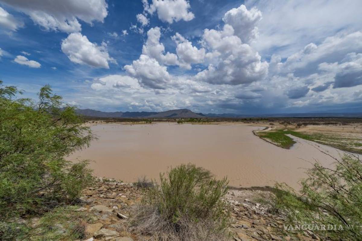 Acuíferos de Coahuila sobreexplotados; Saltillo no se da cuenta que se está quedando sin agua: expertos