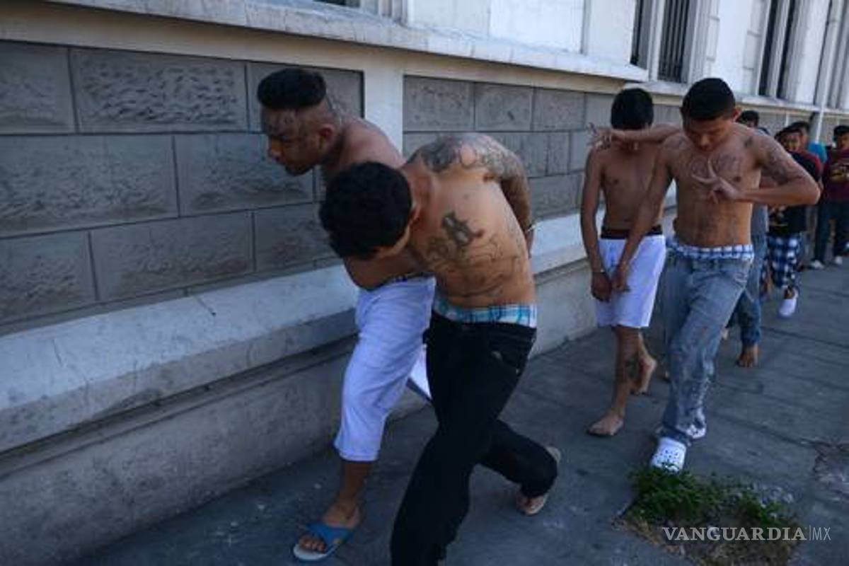 $!"Tolerancia cero", Donald Trump va contra la Mara Salvatrucha y otras pandillas