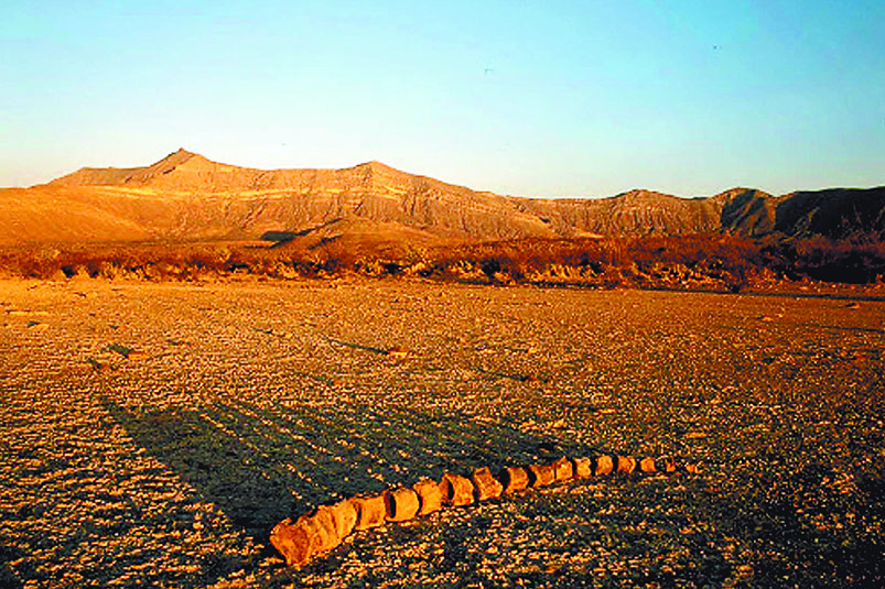 Contará General Cepeda con parques de Aventura, Paleontológico y Astronómico