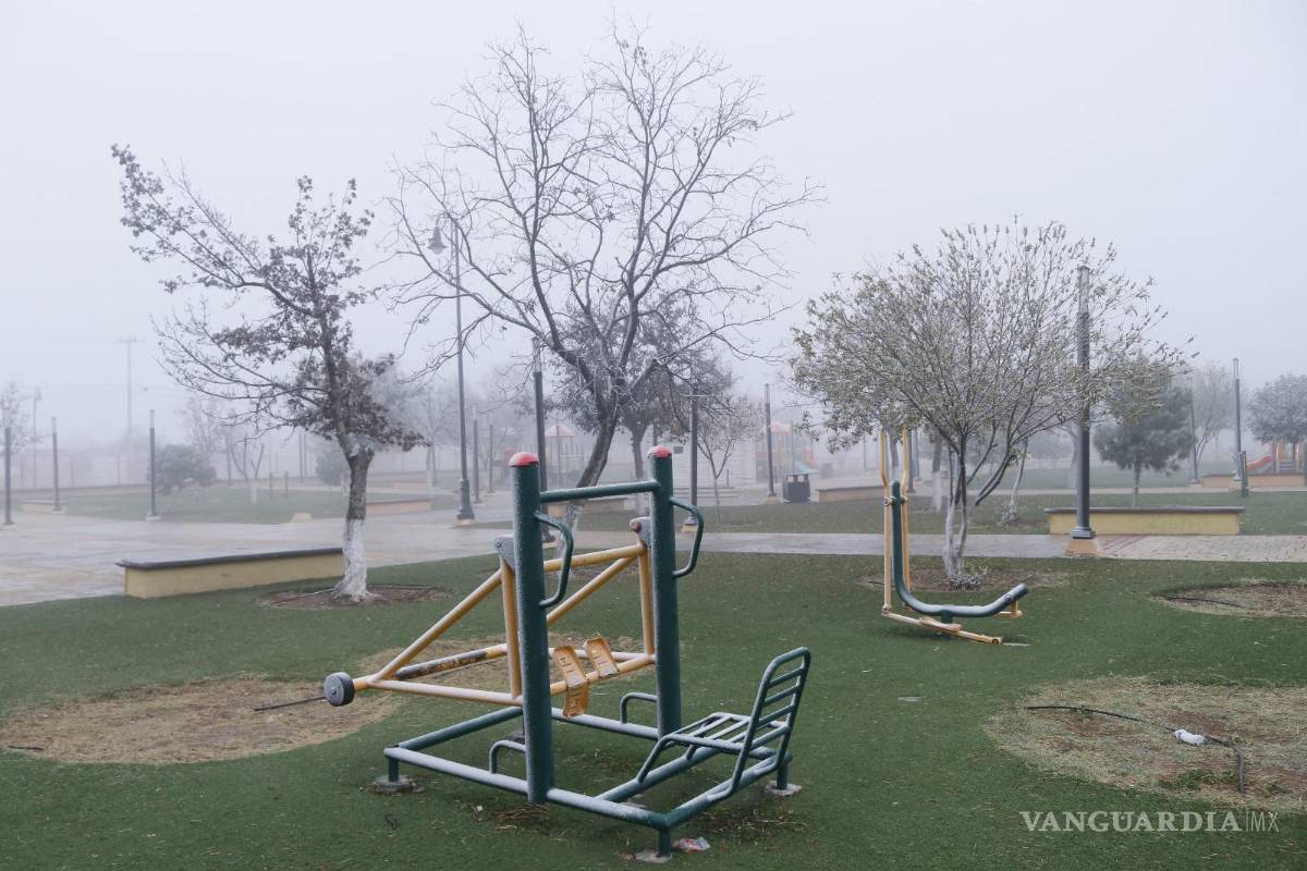 $!Algunos juegos infantiles se encuentran cubiertos de aguanieve.
