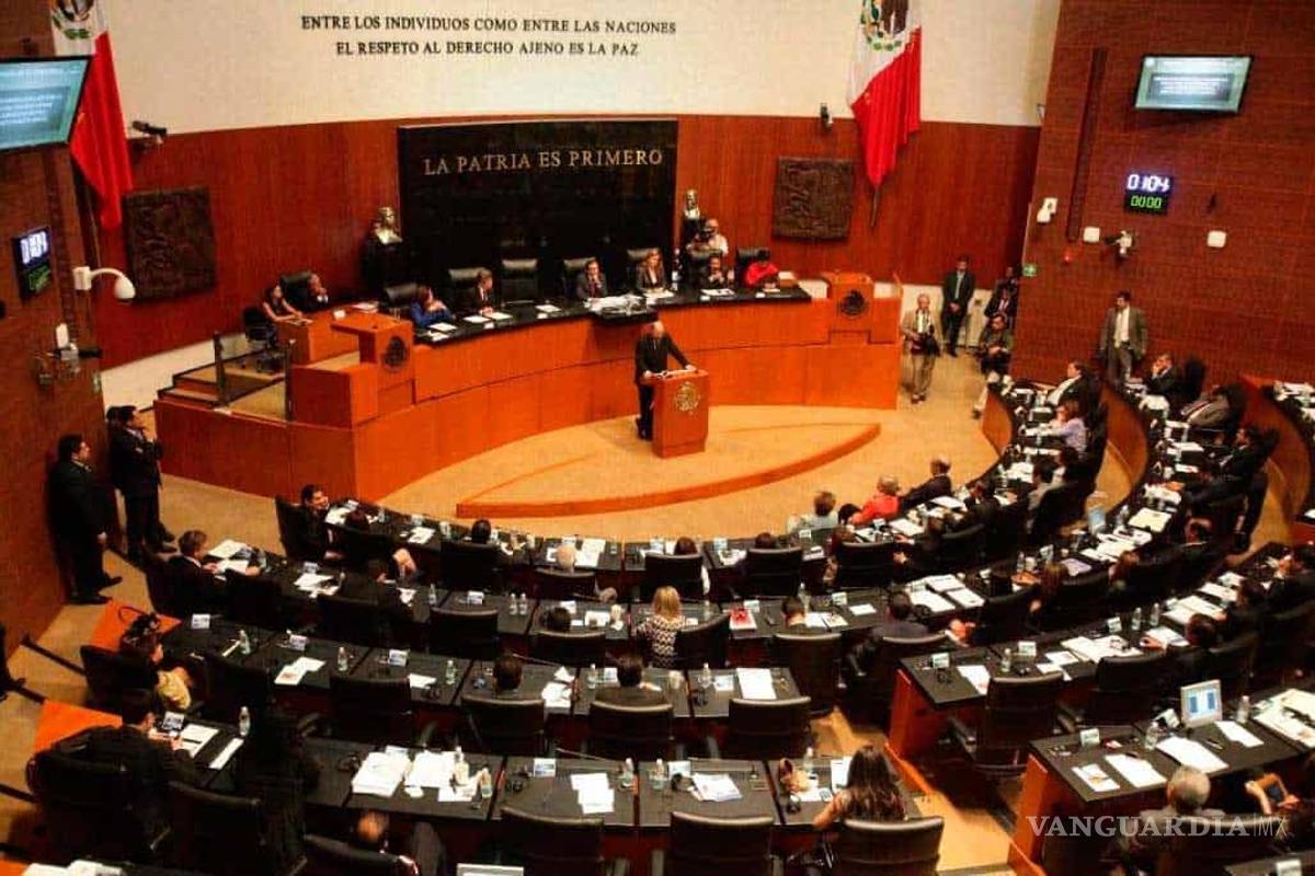 Avala INE reparto de plurinominales en Senado y Cámara de Diputados