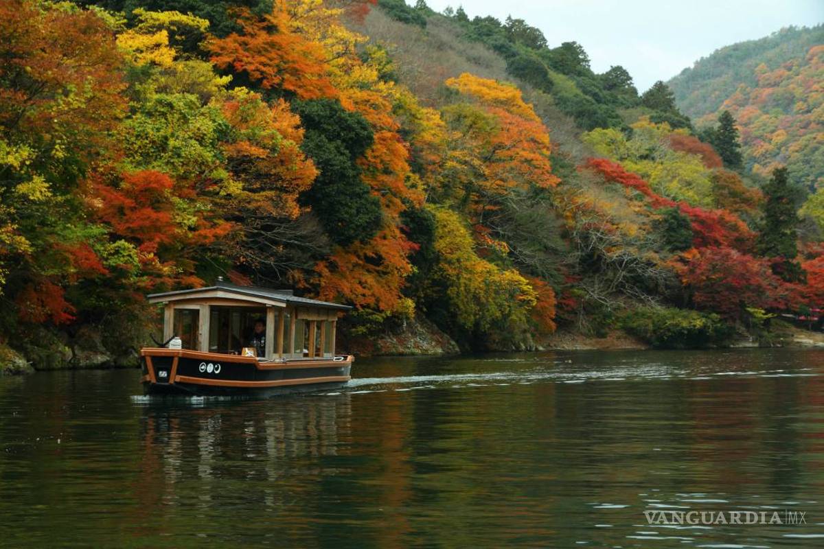 $!Alojamientos ecológicos, remansos de paz... y lujo