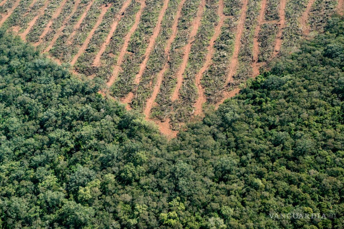 Señalan frontera agrícola excedida en la Laguna