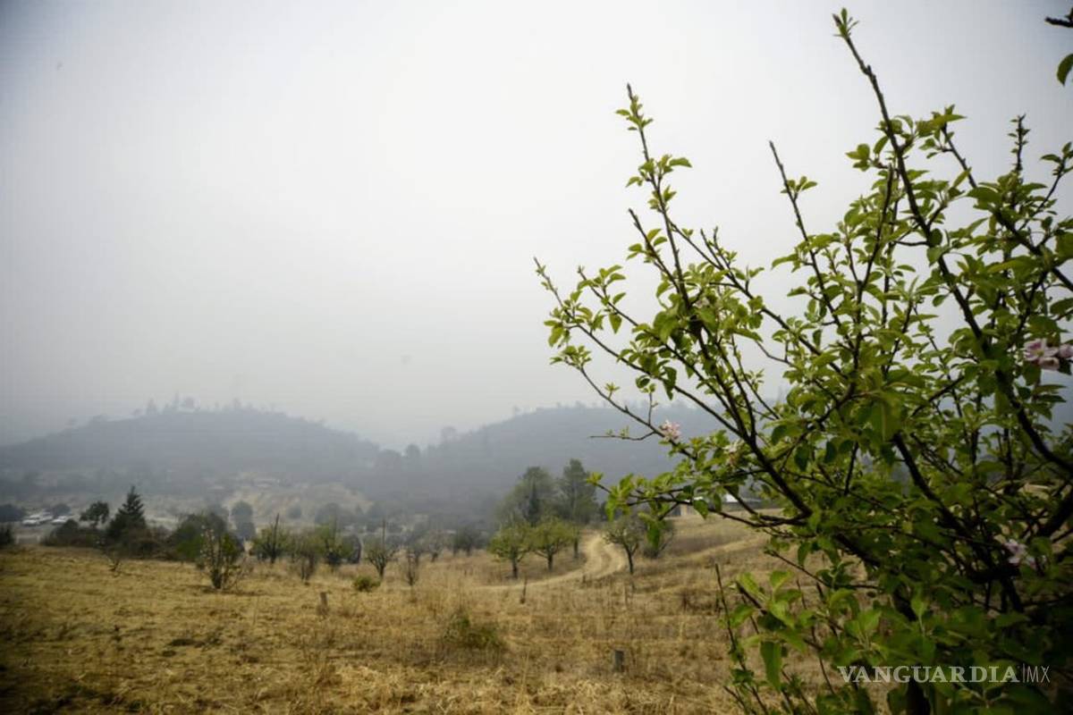 Incendio en ‘La Pinalosa’ controlado al 75%