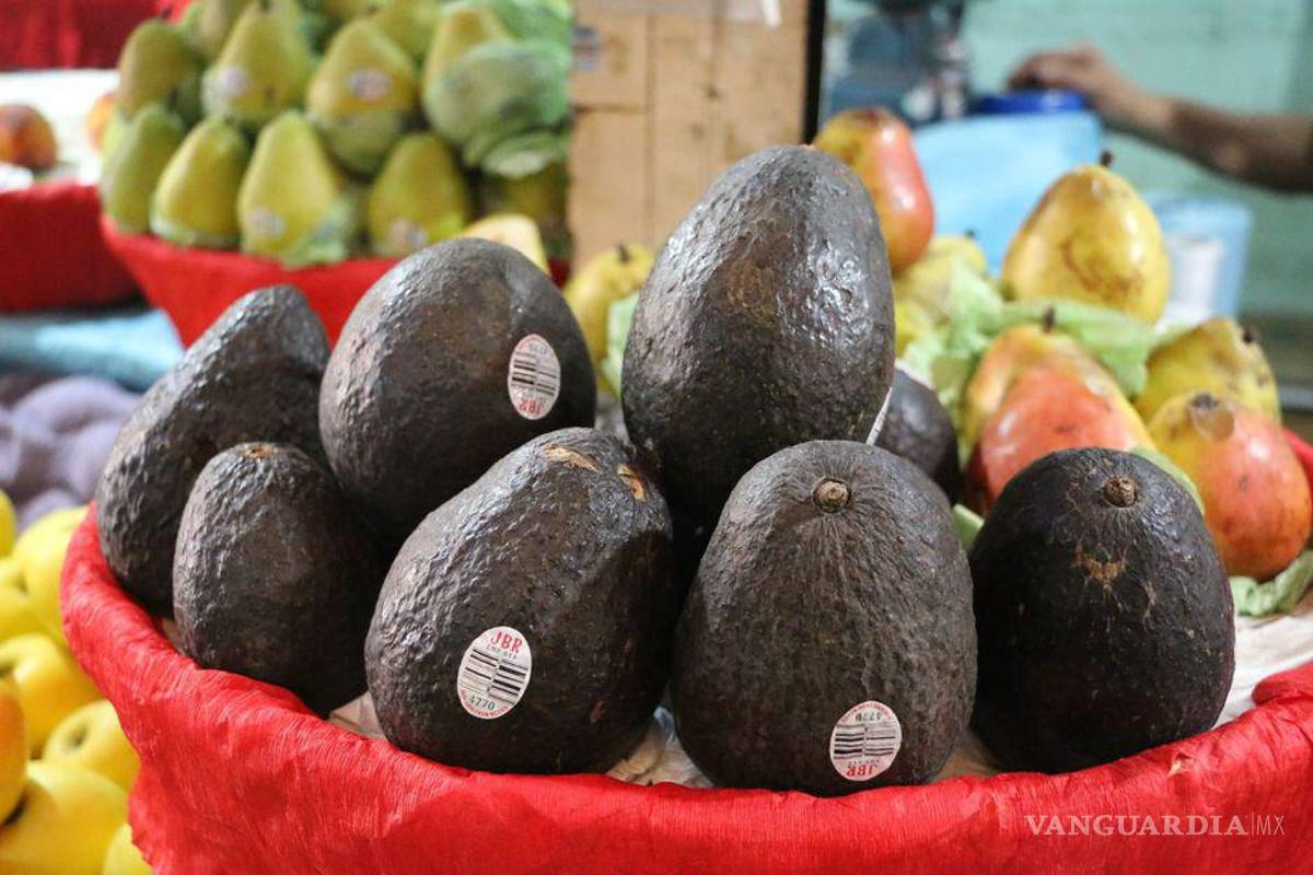 ¿Por qué el aguacate está tan caro?... hasta los 150 pesos por kilo