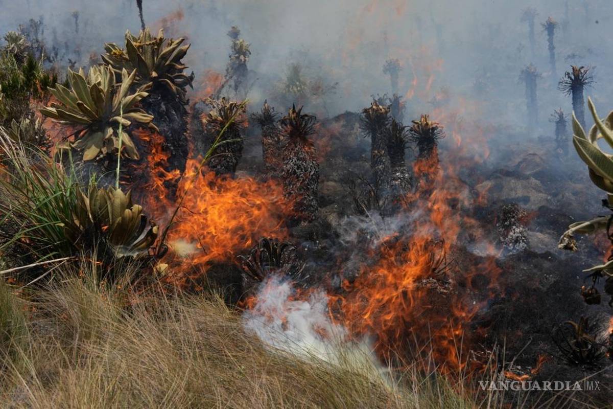 Azota a Ecuador el peor incendio forestal de los últimos 10 años; la causa, la quema agrícola