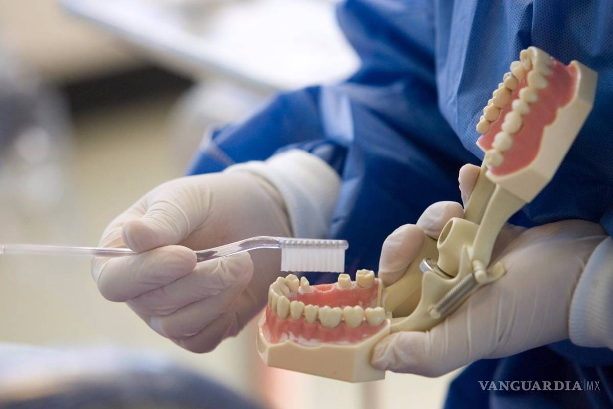 Crean resinas dentales orgánicas