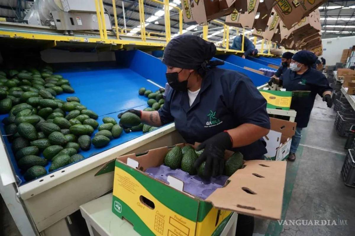 Se pierde medio millón de empleos sólo en mayo en México