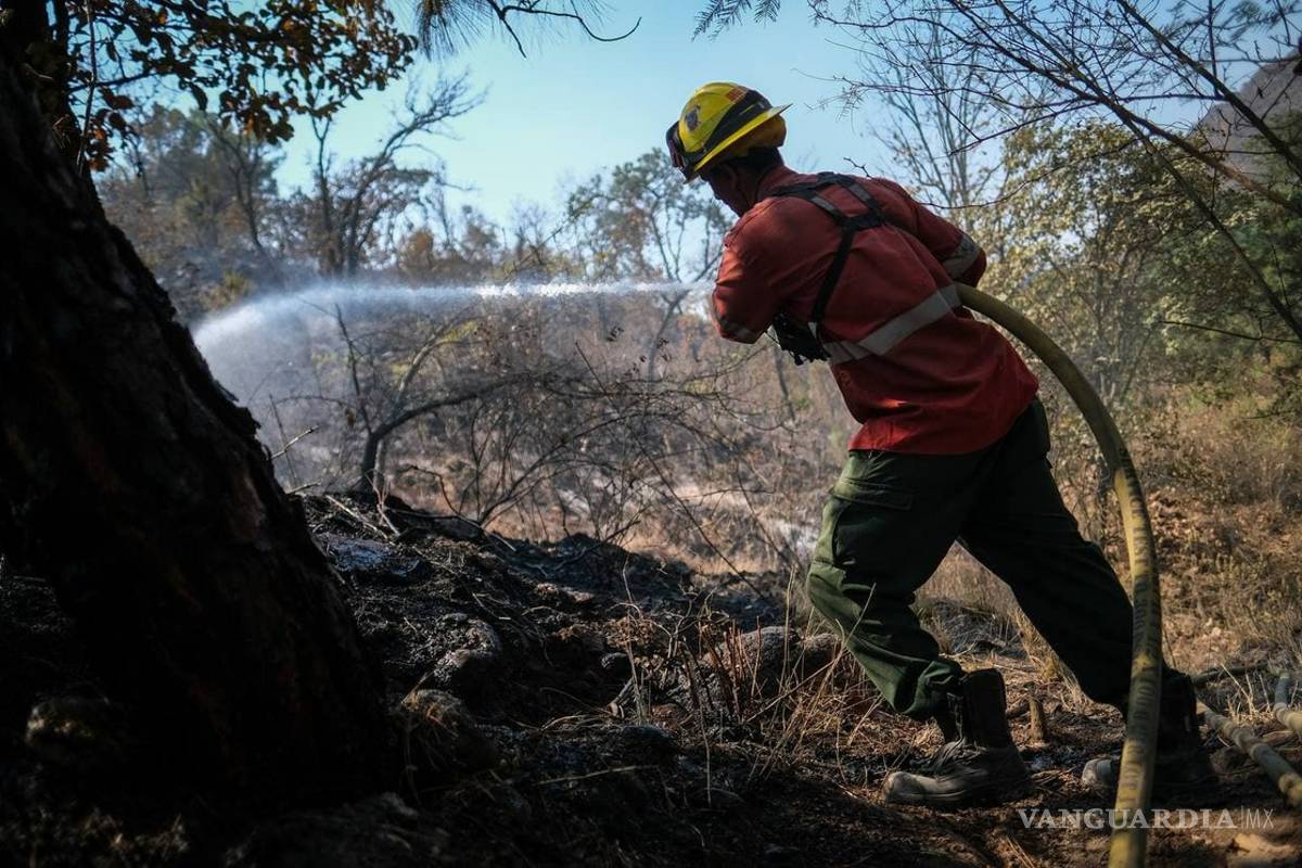 Incendio en el Bosque de La Primavera, totalmente controlado