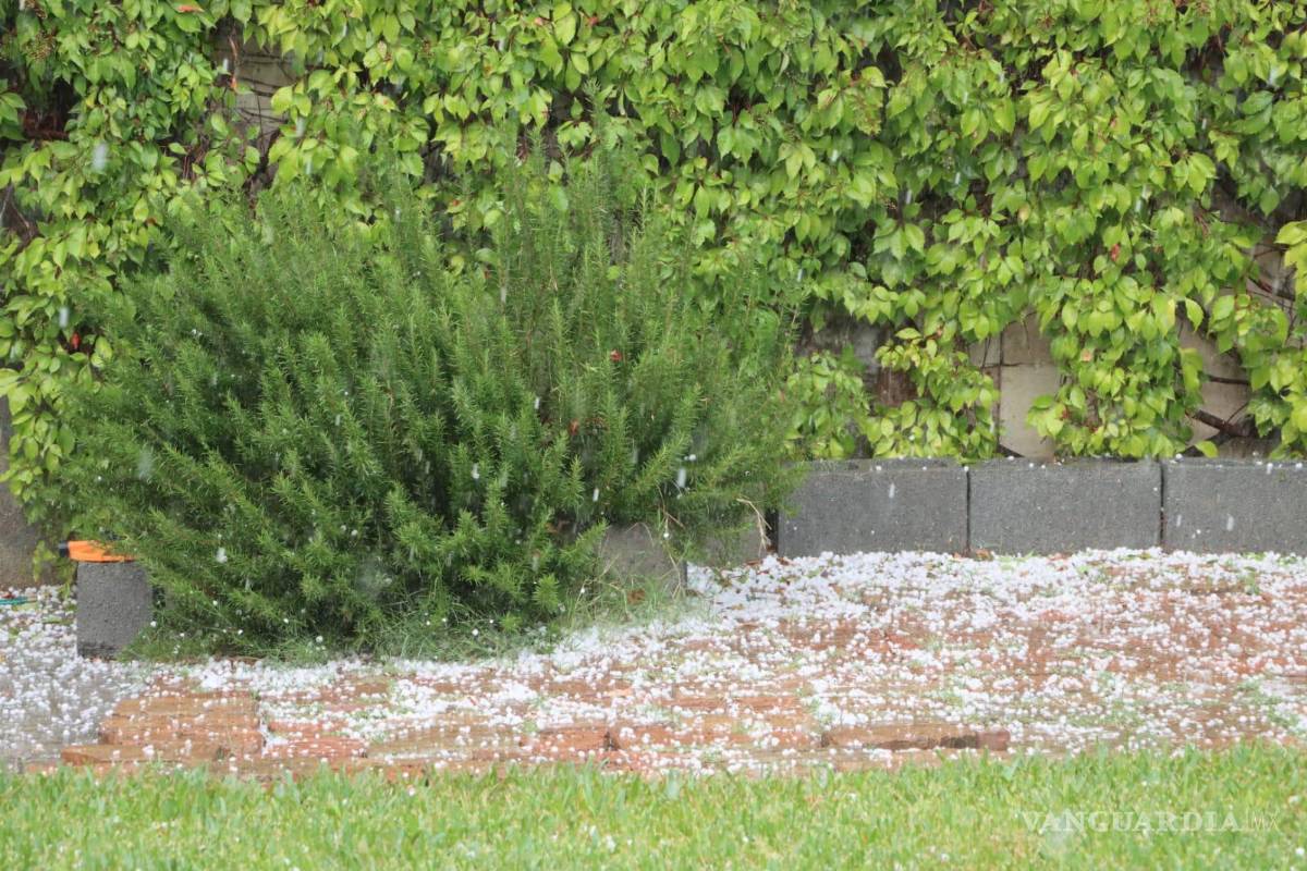 Saltillo: Lluvias, vientos y granizo repentinos son inevitables y seguirán ocurriendo