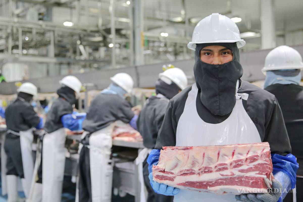 Se incrementa productividad en el campo en los últimos años