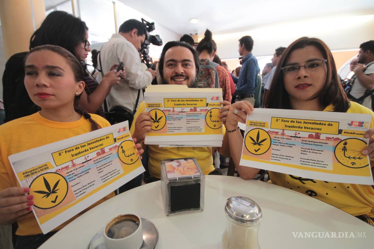 PRD pide a Cofepris 32 permisos para uso lúdico de mariguana