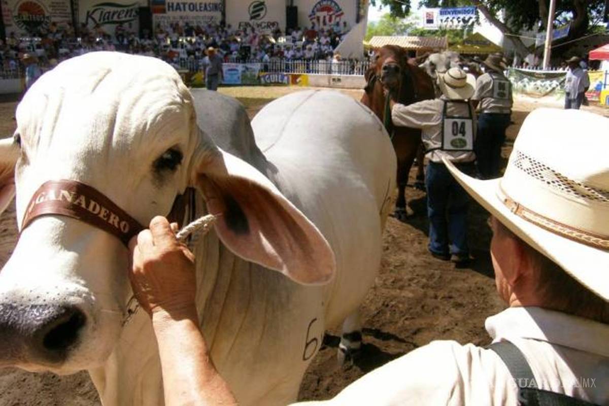 Aseguran productores coahuilenses que los apoyos para el campo llegan demasiado tarde