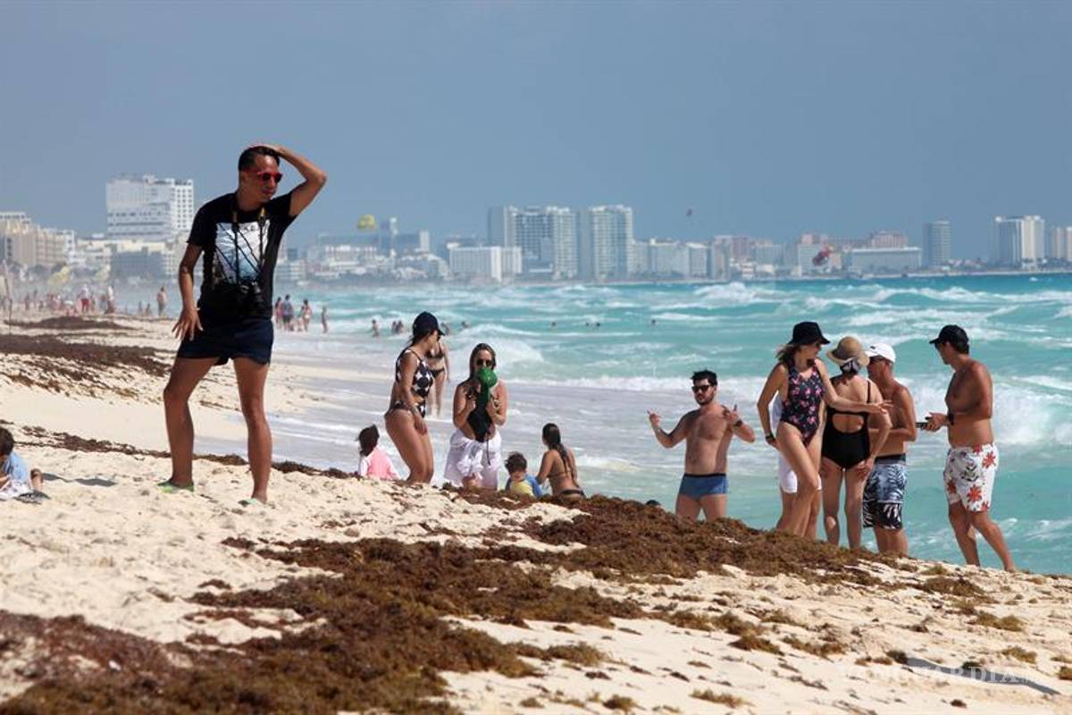 La plaga del sargazo marca un repunte en las playas del Caribe mexicano