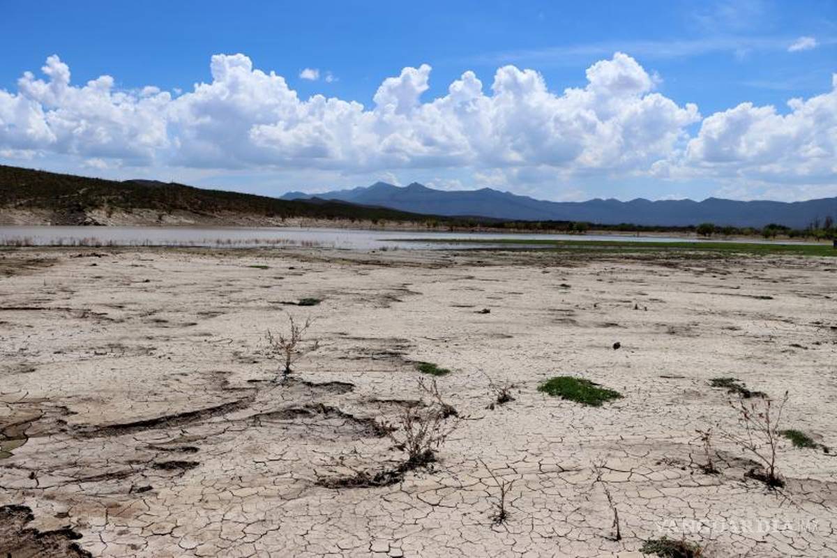 Frenan concesiones de agua a empresas privadas en estados con sequía; podrían contemplar a Coahuila