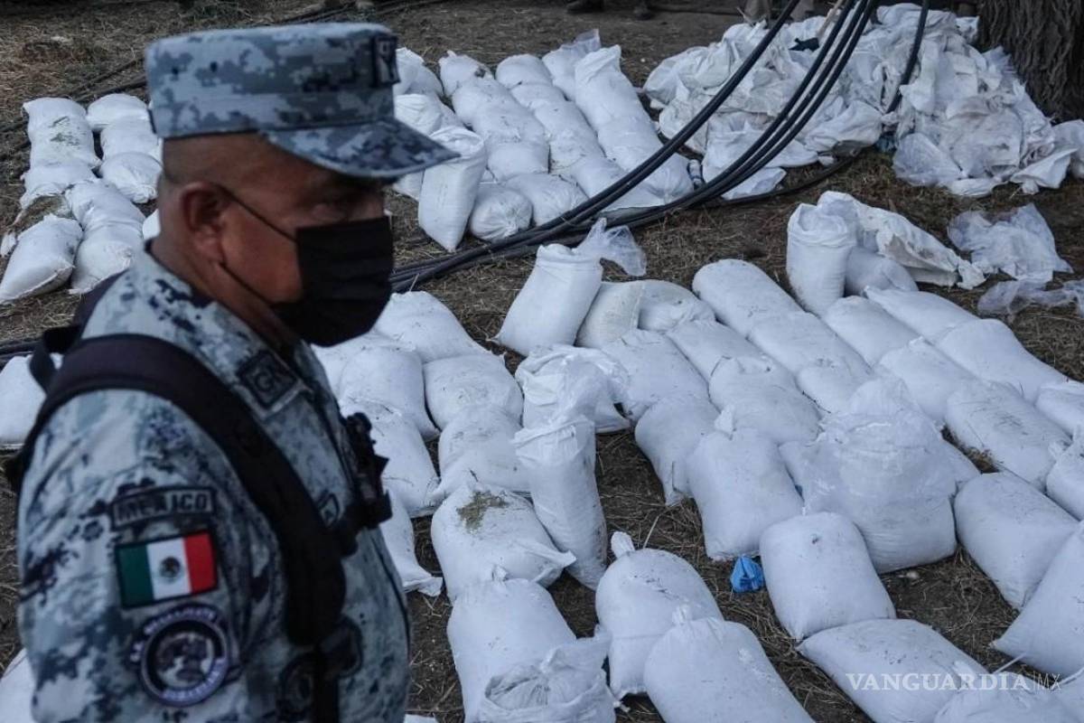 Suman más de 62 toneladas de droga aseguradas por Operación Frontera