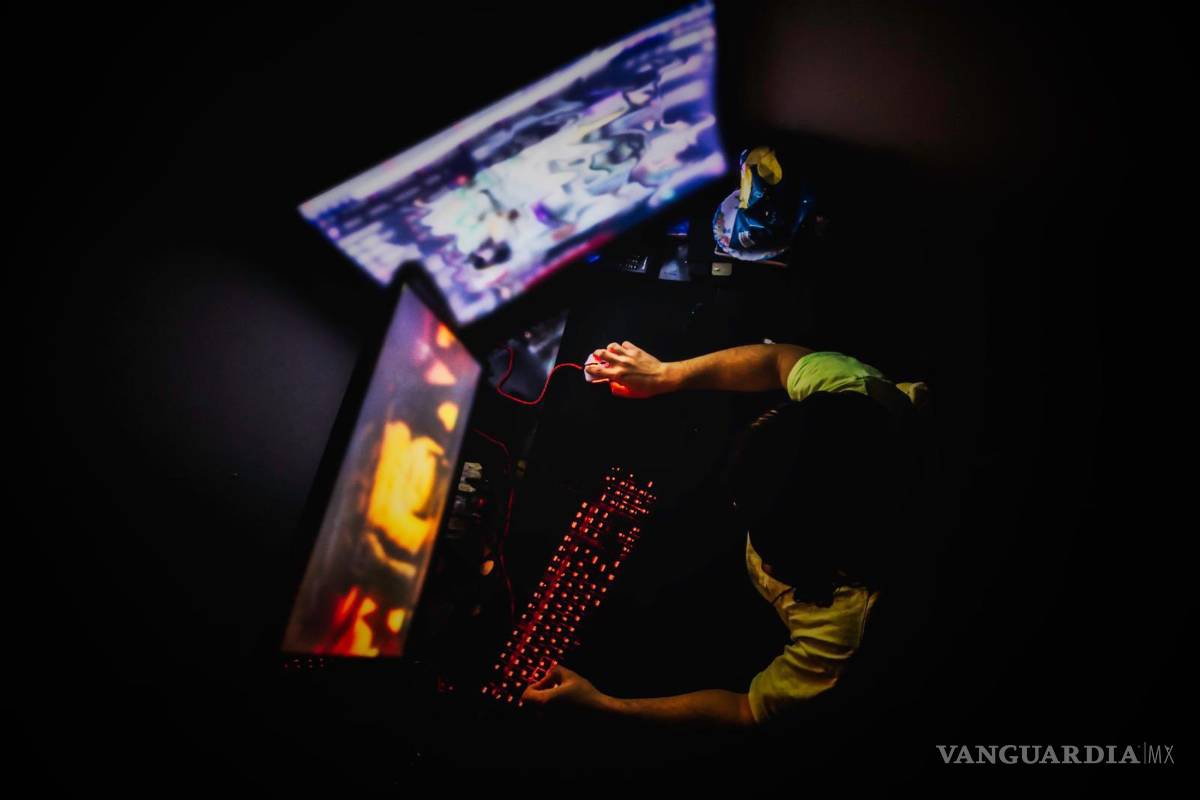 Interpol lanza su primer proyecto para combatir la piratería digital