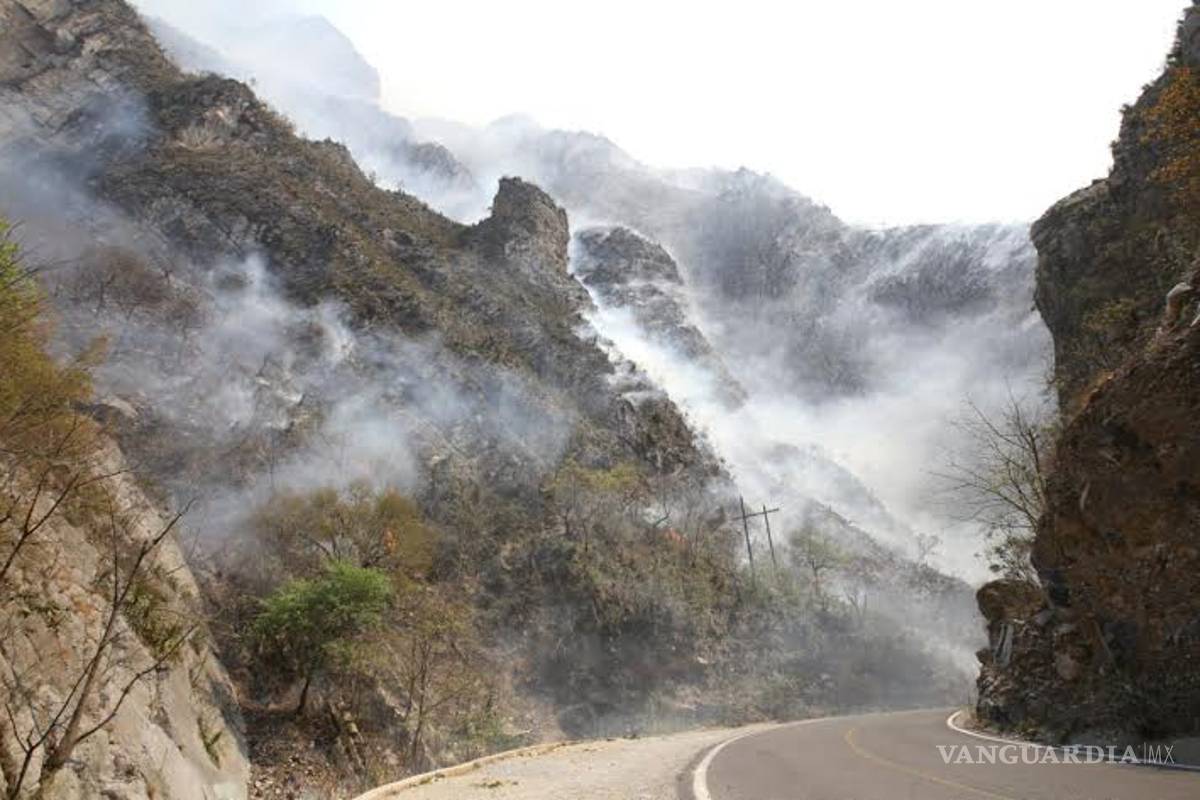 Combaten siete incendios forestales en cinco municipios de NL