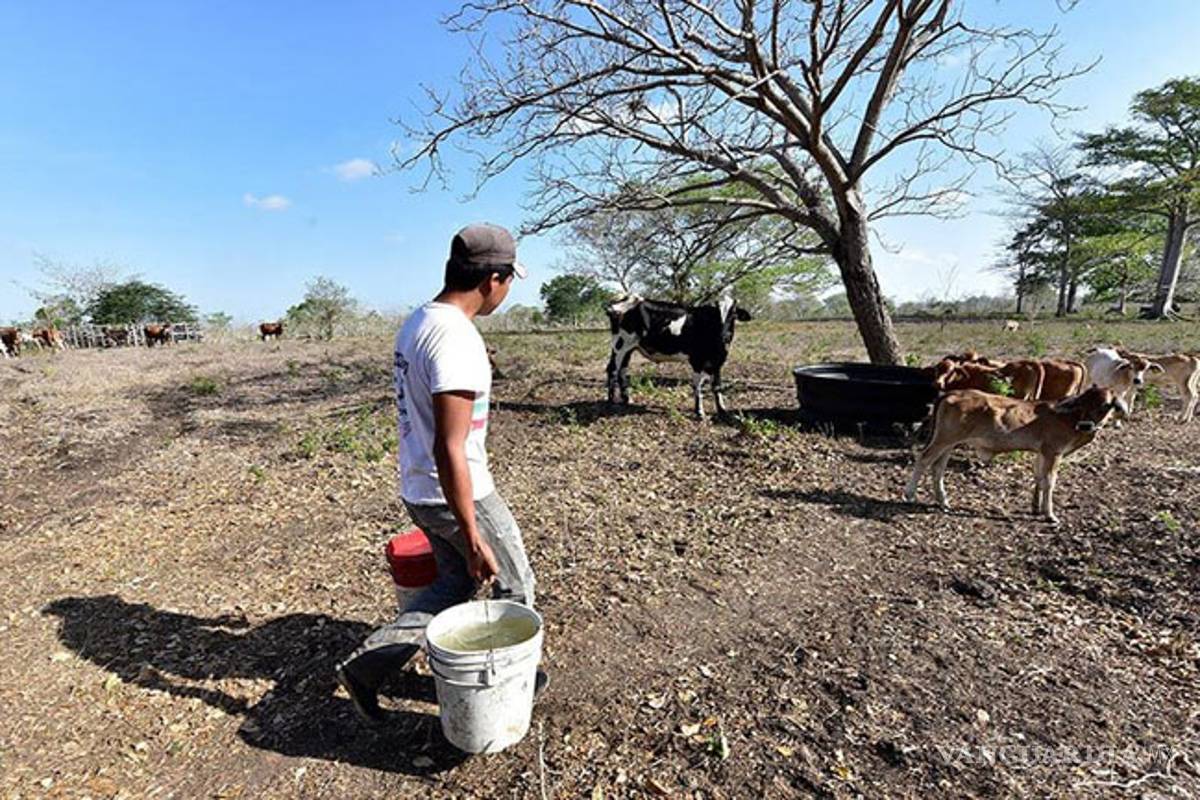 Lluvias no alcanzarían para llenar presas, advierte Conagua