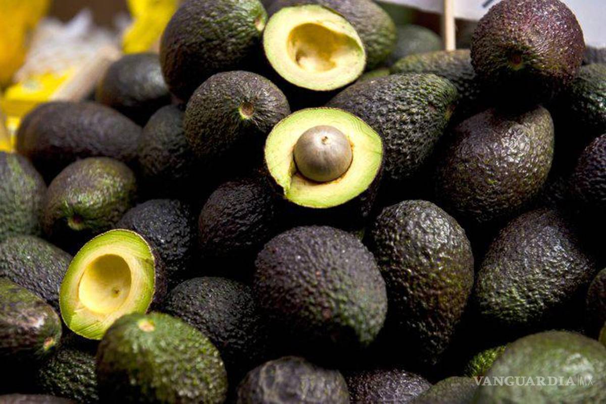 Amplía México su mercado de aguacate; llega a Brasil