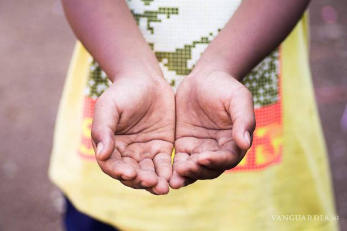 Advierte Coneval: hay desequilibrio en disponibilidad de alimentos en México