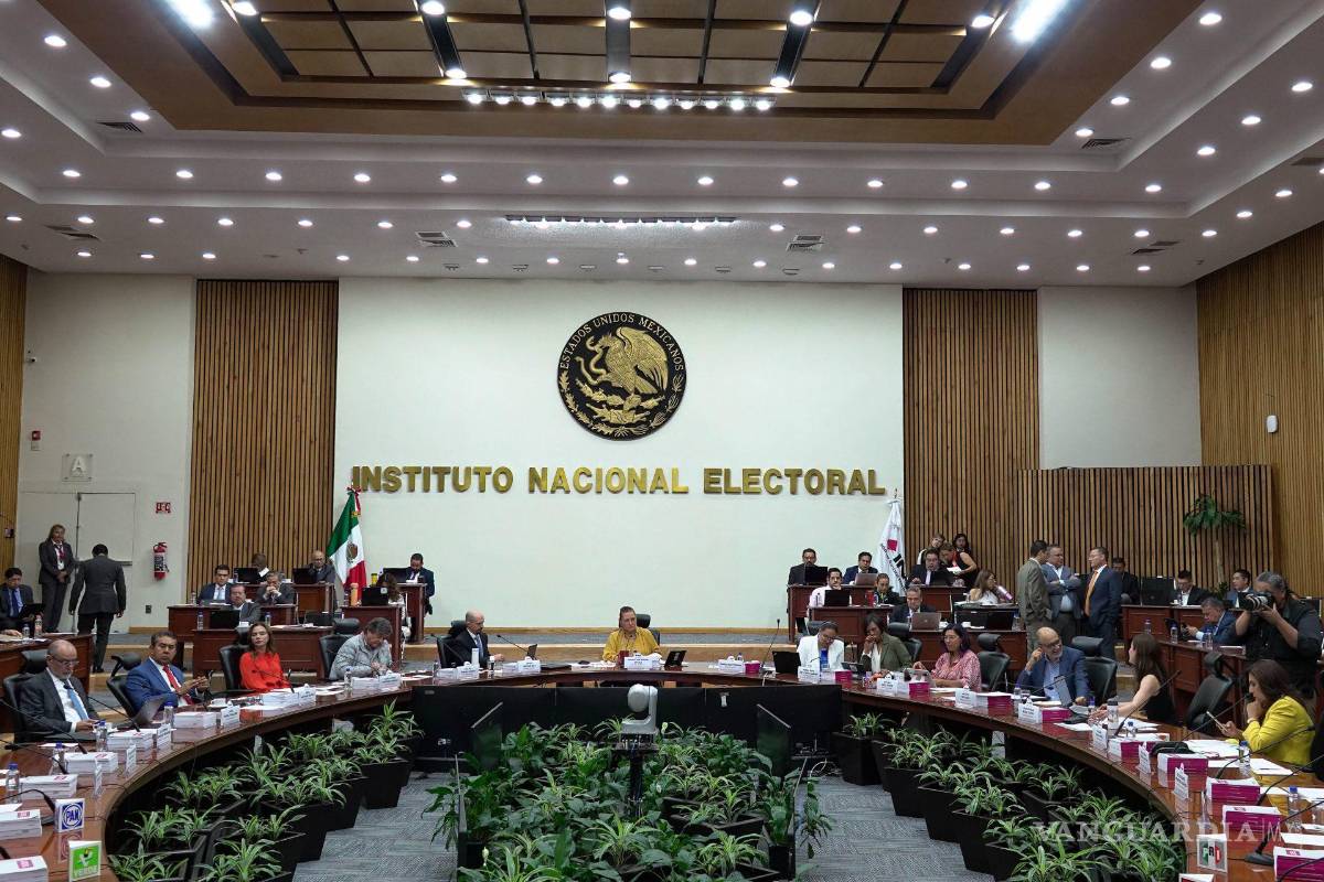 INE pide que gobiernos y congresos estatales salgan al rescate de OPLES