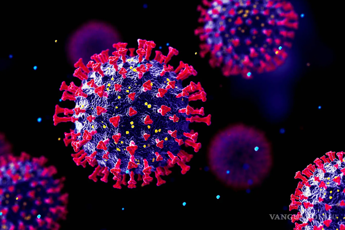¿Qué sabemos de Pirola? La nueva subvariante COVID-19 que es mutación de Ómicron