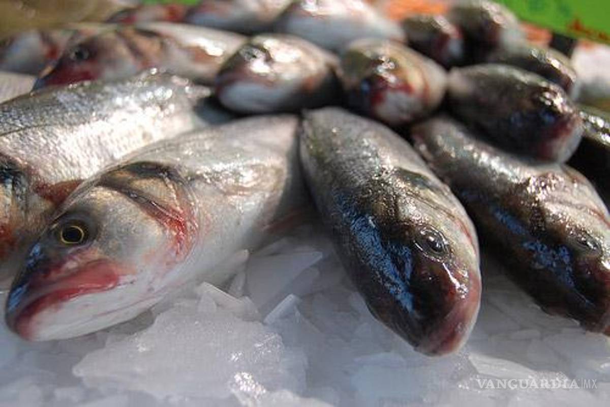 $!En esta Cuaresma, ¿cómo saber si el pescado que compras es fresco?
