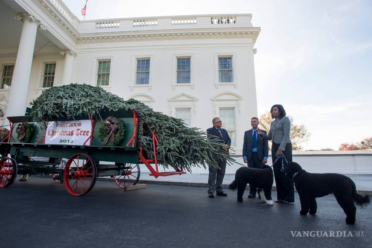 Michelle Obama recibió árbol de Navidad para la Casa Blanca