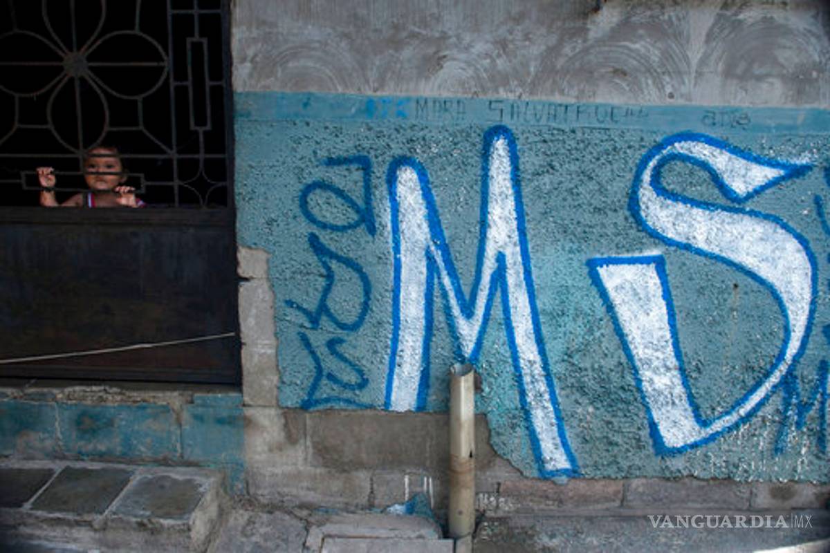 Capturan a cabecillas de pandilla MS 13 en zona turística