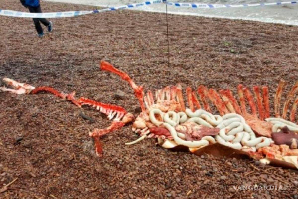 Encuentran los supuestos restos del monstruo del Lago Ness (FOTOS)
