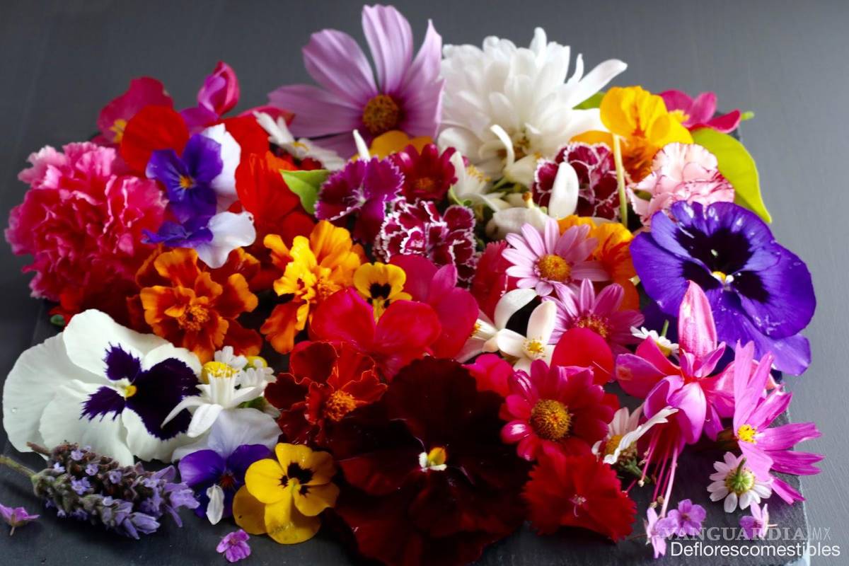 Flores comestibles, colorido y delicioso manjar